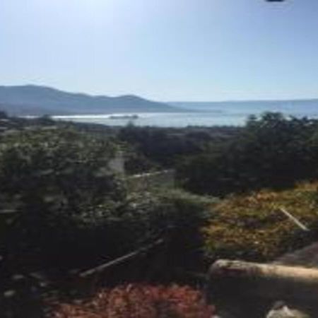 Bela Ilha Guest House Ilhabela Ngoại thất bức ảnh